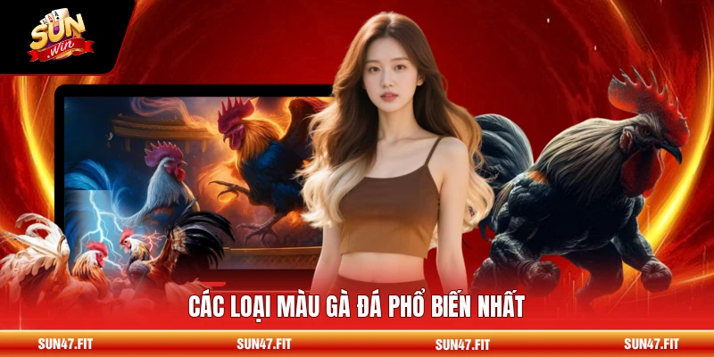 Các loại màu gà đá phổ biến nhất