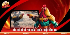 Các Thế Đá Gà Phổ Biến - Chiến Thuật Đỉnh Cao