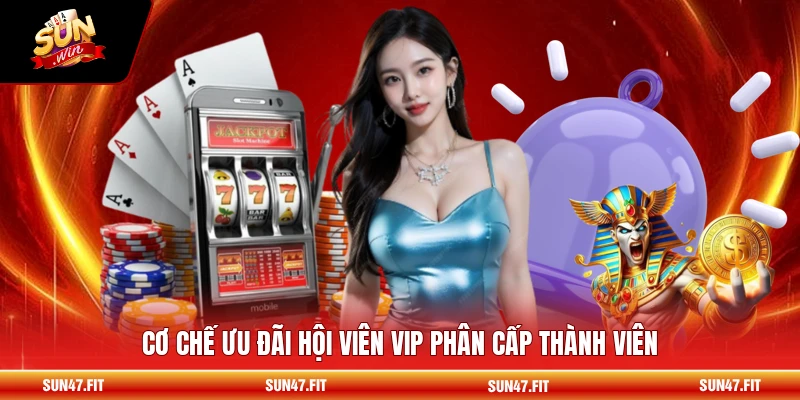 Cơ chế ưu đãi hội viên VIP phân cấp thành viên