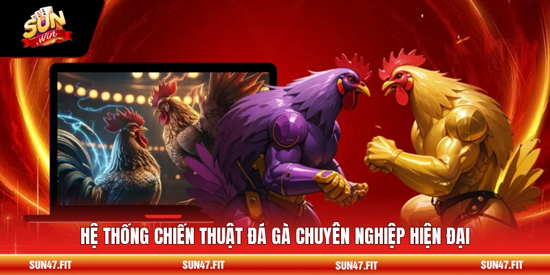 Hệ thống chiến thuật đá gà chuyên nghiệp hiện đại
