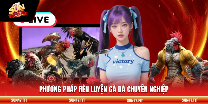 Phương pháp rèn luyện gà đá chuyên nghiệp